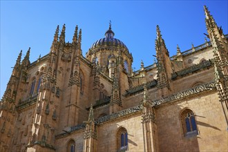 Salamanca Cathedral facade in Spain by the Via de la Plata way to Santiago