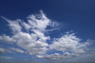 Blue sky with white summer cumulus clouds