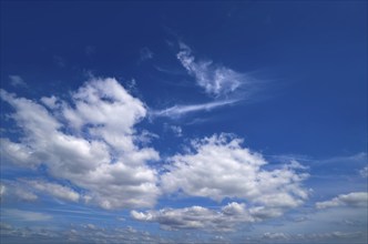 Blue sky with white summer cumulus clouds