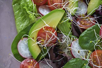 Avocado salad with sprouts tomatoes spinach and radish healthy food