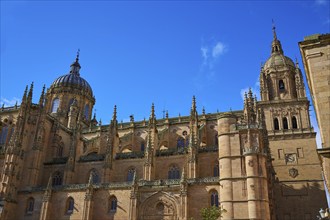 Salamanca Cathedral facade in Spain by the Via de la Plata way to Santiago