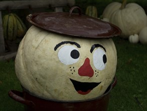 Large white pumpkin with painted face in a pot, funny autumnal decoration, borken, münsterland,