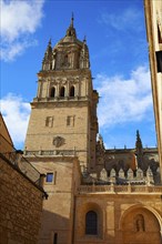 Salamanca Cathedral in Spain by the Via de la Plata way to Santiago