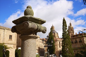 Salamanca Cathedral column detail in Spain by the Via de la Plata way to Santiago