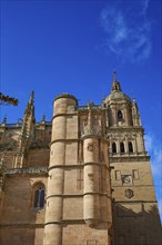 Salamanca Cathedral facade in Spain by the Via de la Plata way to Santiago