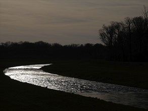 In the floodplain forest near Leipzig: The Luppe in the evening backlight. Saxony, Germany, Europe