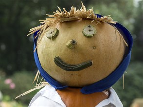 A pumpkin with a face made of straw and vegetables, standing in the garden and wearing a blue cap,