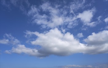 Blue sky with white summer cumulus clouds