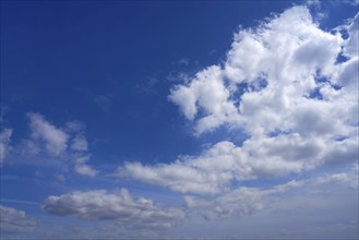 Blue sky with white summer cumulus clouds