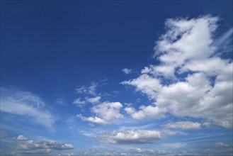 Blue sky with white summer cumulus clouds