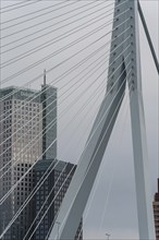 Detailed view of bridge architecture and modern high-rise buildings, rotterdam, the netherlands