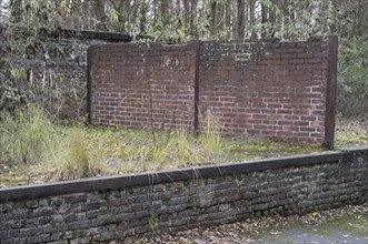 Two old damaged brick walls with moss and dry grass growing in loading dock area during autumn