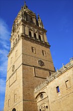 Salamanca Cathedral in Spain by the Via de la Plata way to Santiago