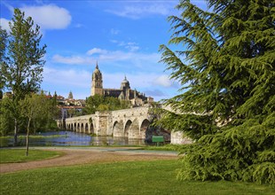 Salamanca skyline and roman bridge over Tormes river in Spain