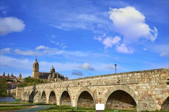 Salamanca skyline and roman bridge over Tormes river in Spain