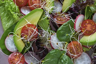 Avocado salad with sprouts tomatoes spinach and radish healthy food