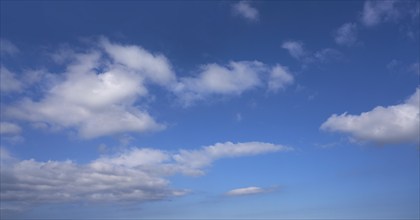 Blue sky with white summer cumulus clouds