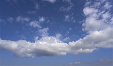 Blue sky with white summer cumulus clouds