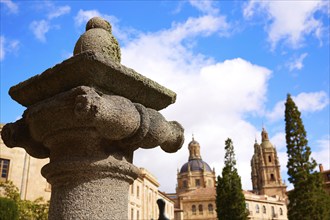 Salamanca Cathedral column detail in Spain by the Via de la Plata way to Santiago