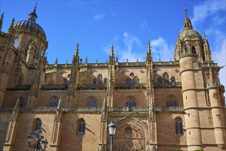 Salamanca Cathedral facade in Spain by the Via de la Plata way to Santiago