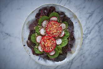 Tomato salad with seeds radish spinach and lettuces healthy food