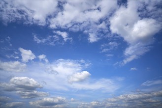 Blue sky with white summer cumulus clouds