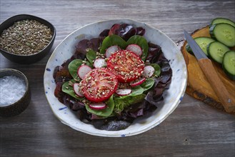 Tomato salad with seeds radish spinach and lettuces healthy food