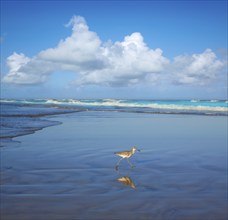 Atlantic Beach in Jacksonville East of Florida USA US