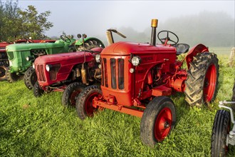 Old farm tractor, Burguete, Santiago's road, Navarra, Spain, Europe