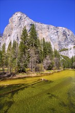 Yosemite Merced River and el Capitan in California National Parks US