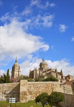 Salamanca Cathedral facade in Spain by the Via de la Plata way to Santiago