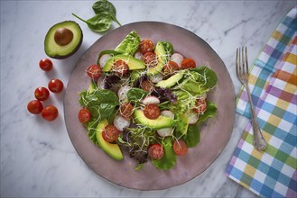 Avocado salad with sprouts tomatoes spinach and radish healthy food