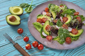 Avocado salad with sprouts tomatoes spinach and radish healthy food