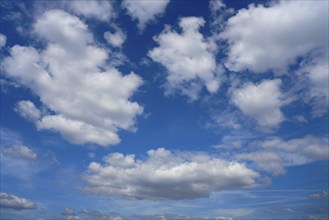 Blue sky with white summer cumulus clouds