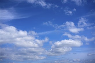 Blue sky with white summer cumulus clouds