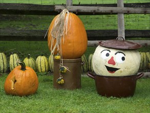 Creative pumpkin decoration and painted pumpkins in the garden on a green meadow, borken,