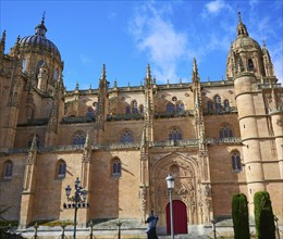 Salamanca Cathedral facade in Spain by the Via de la Plata way to Santiago