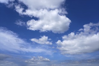 Blue sky with white summer cumulus clouds