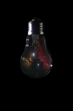 Horsehead Nebula inside of light bulb on dark background Horsehead Nebula deep space beautiful