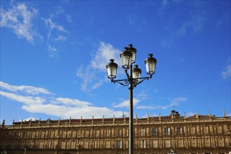 Salamanca Plaza Mayor in Spain along via de la Plata way to Santiago