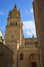 Salamanca Cathedral facade in Spain by the Via de la Plata way to Santiago