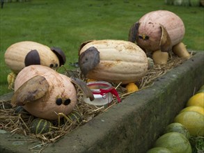 Several decorated pumpkin figures on a lawn border, borken, münsterland, germany