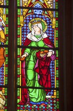 Window with St Elizabeth, St Mary's parish church, Marburg, Hesse, Germany, Europe, Kirchenfenster