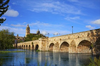 Salamanca skyline and roman bridge over Tormes river in Spain