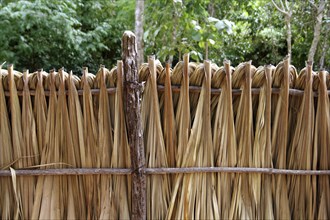 Mayan palm tree leaves wood fence in rainforest Jungle of Mexico