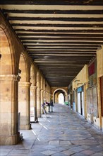 Salamanca Plaza Mayor in Spain along via de la Plata way to Santiago