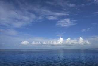 Holbox Yalahau also Conil lagoon in Quintana Roo Mexico