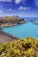 Beach Playa Paraiso costa Adeje in Tenerife at Canary Islands