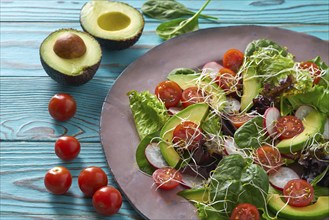 Avocado salad with sprouts tomatoes spinach and radish healthy food