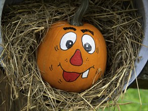 Cheerful painted pumpkin in a nest of hay, decorative and autumnal, borken, münsterland, germany